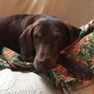 Meet your Posher, Julie